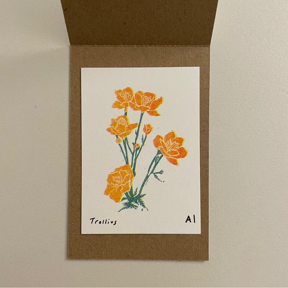 Inciardi prints - Flower Trollius
